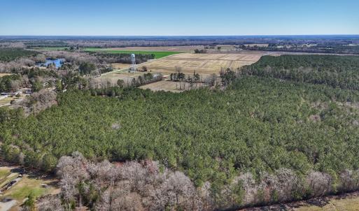 Photo #13 of Off Highway 41, Trenton, NC 50.7 acres