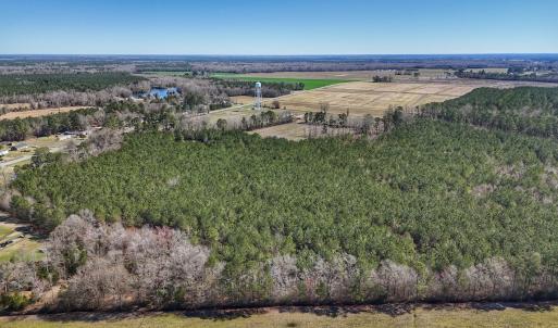 Photo #14 of Off Highway 41, Trenton, NC 50.7 acres