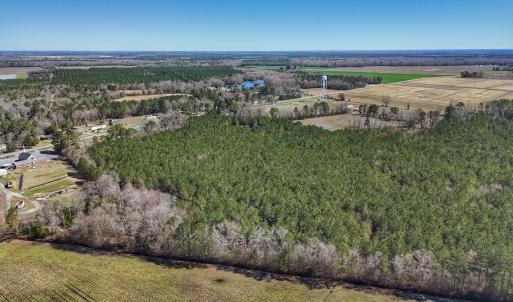 Photo #15 of Off Highway 41, Trenton, NC 50.7 acres