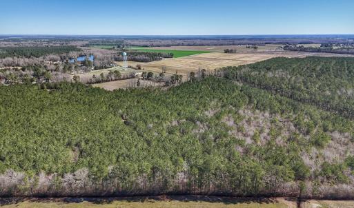 Photo #18 of Off Highway 41, Trenton, NC 50.7 acres