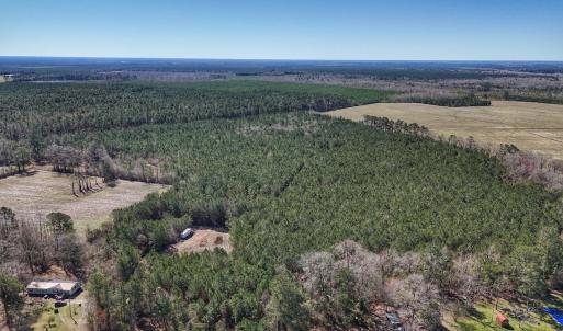 Photo #1 of Off Highway 41, Trenton, NC 50.7 acres