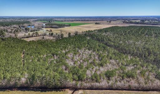 Photo #19 of Off Highway 41, Trenton, NC 50.7 acres