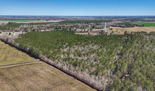 Photo #20 of Off Highway 41, Trenton, NC 50.7 acres
