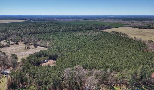 Photo #2 of Off Highway 41, Trenton, NC 50.7 acres