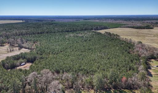 Photo #3 of Off Highway 41, Trenton, NC 50.7 acres
