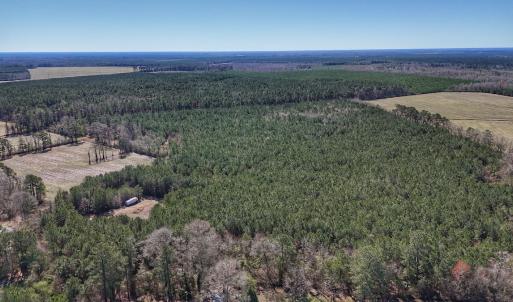 Photo #4 of Off Highway 41, Trenton, NC 50.7 acres