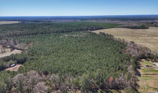Photo #5 of Off Highway 41, Trenton, NC 50.7 acres