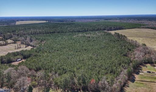 Photo #6 of Off Highway 41, Trenton, NC 50.7 acres