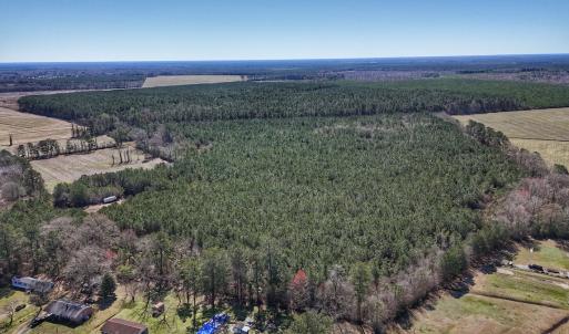 Photo #7 of Off Highway 41, Trenton, NC 50.7 acres