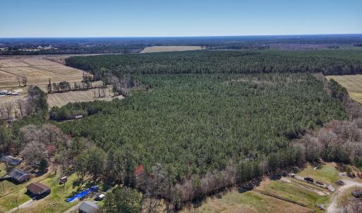 Photo #8 of Off Highway 41, Trenton, NC 50.7 acres