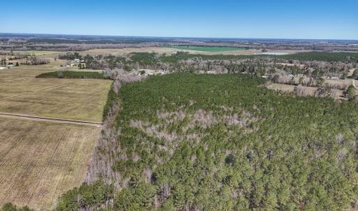 Photo #21 of Off Highway 41, Trenton, NC 50.7 acres