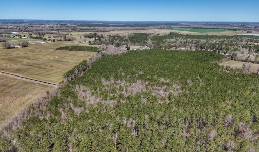 Photo #22 of Off Highway 41, Trenton, NC 50.7 acres