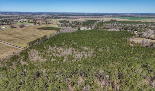 Photo #23 of Off Highway 41, Trenton, NC 50.7 acres