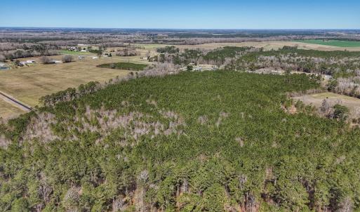 Photo #24 of Off Highway 41, Trenton, NC 50.7 acres
