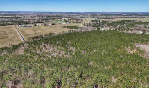 Photo #25 of Off Highway 41, Trenton, NC 50.7 acres