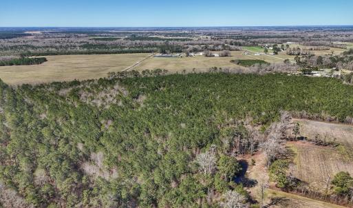 Photo #26 of Off Highway 41, Trenton, NC 50.7 acres
