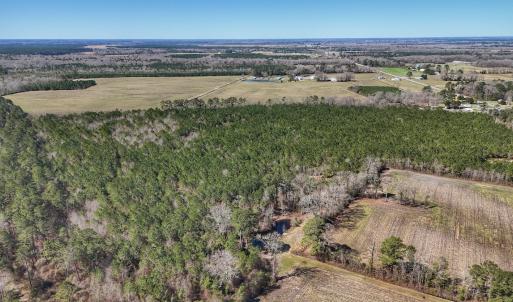 Photo #27 of Off Highway 41, Trenton, NC 50.7 acres