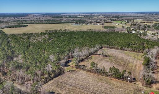Photo #28 of Off Highway 41, Trenton, NC 50.7 acres