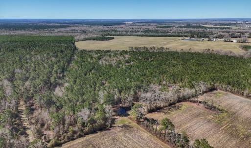 Photo #29 of Off Highway 41, Trenton, NC 50.7 acres