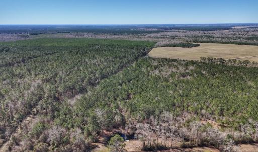 Photo #30 of Off Highway 41, Trenton, NC 50.7 acres