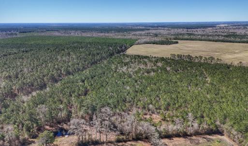 Photo #31 of Off Highway 41, Trenton, NC 50.7 acres