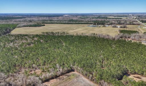 Photo #32 of Off Highway 41, Trenton, NC 50.7 acres