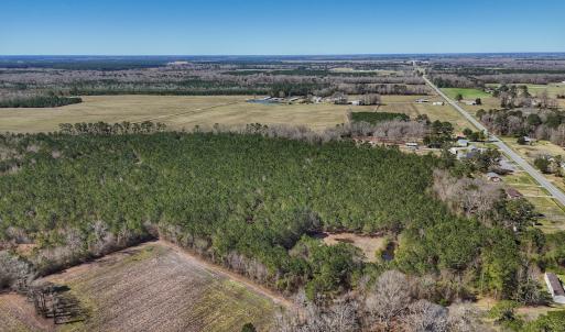 Photo #34 of Off Highway 41, Trenton, NC 50.7 acres