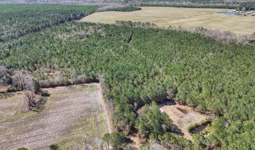 Photo #37 of Off Highway 41, Trenton, NC 50.7 acres