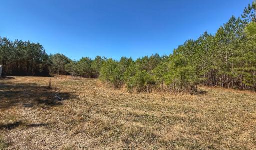 Photo #39 of Off Highway 41, Trenton, NC 50.7 acres