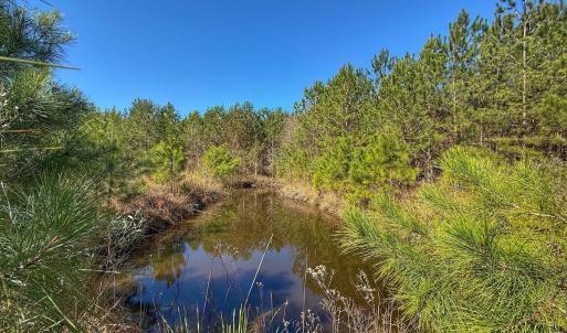 Photo #40 of Off Highway 41, Trenton, NC 50.7 acres