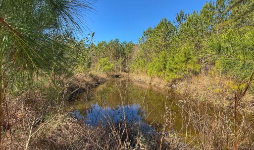 Photo #44 of Off Highway 41, Trenton, NC 50.7 acres