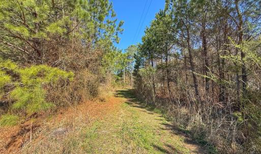 Photo #45 of Off Highway 41, Trenton, NC 50.7 acres