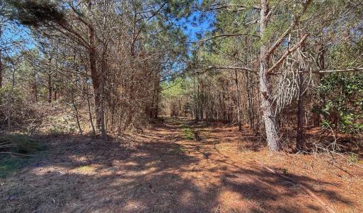 Photo #46 of Off Highway 41, Trenton, NC 50.7 acres