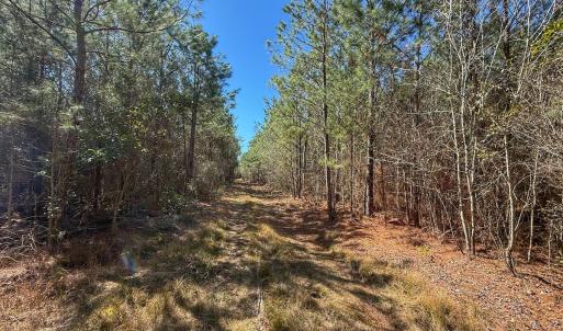 Photo #48 of Off Highway 41, Trenton, NC 50.7 acres