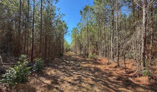 Photo #52 of Off Highway 41, Trenton, NC 50.7 acres