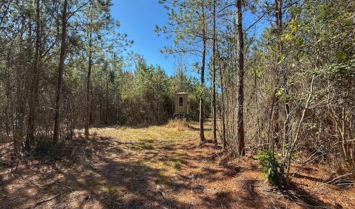 Photo #54 of Off Highway 41, Trenton, NC 50.7 acres