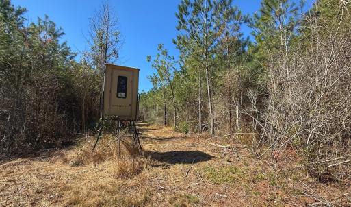 Photo #55 of Off Highway 41, Trenton, NC 50.7 acres