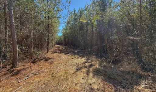 Photo #56 of Off Highway 41, Trenton, NC 50.7 acres