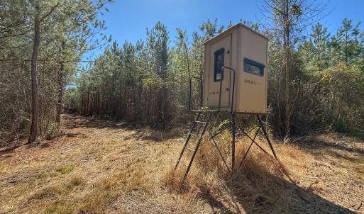 Photo #57 of Off Highway 41, Trenton, NC 50.7 acres