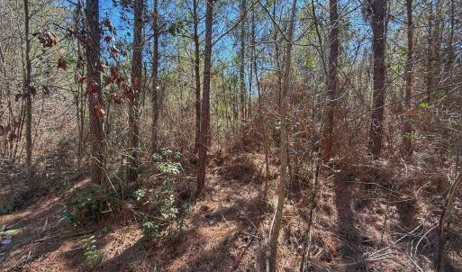 Photo #60 of Off Highway 41, Trenton, NC 50.7 acres