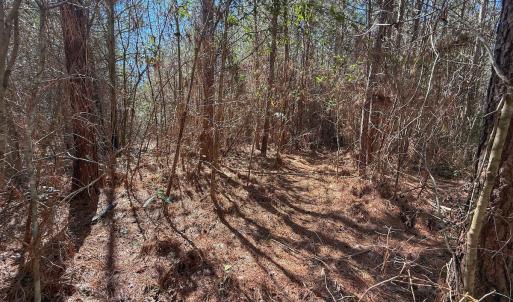 Photo #61 of Off Highway 41, Trenton, NC 50.7 acres