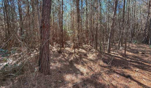 Photo #63 of Off Highway 41, Trenton, NC 50.7 acres