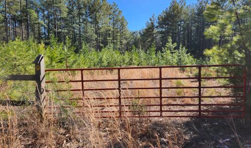 Photo #2 of Off Virginia Mill Rd, Arvonia, VA 58.8 acres