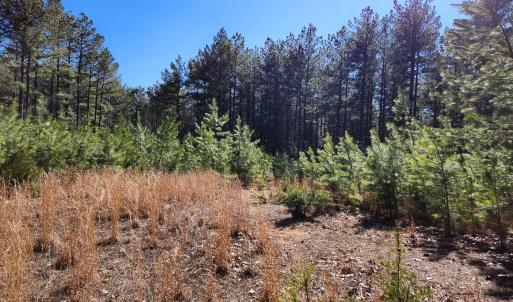 Photo #4 of Off Virginia Mill Rd, Arvonia, VA 58.8 acres