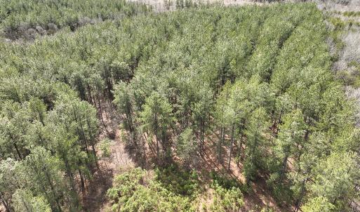 Photo #5 of Off Virginia Mill Rd, Arvonia, VA 58.8 acres