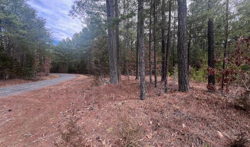 Photo #6 of Off Virginia Mill Rd, Arvonia, VA 58.8 acres