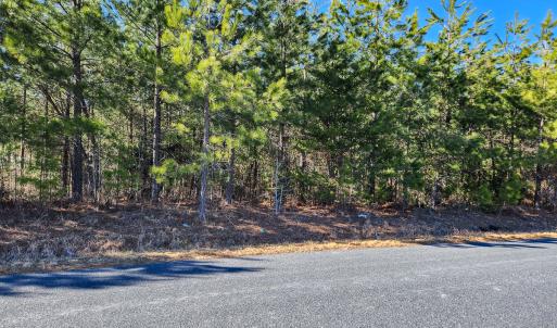 Photo #8 of Off Virginia Mill Rd, Arvonia, VA 58.8 acres
