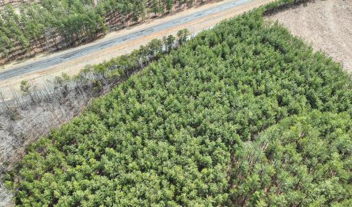 Photo #9 of Off Virginia Mill Rd, Arvonia, VA 58.8 acres