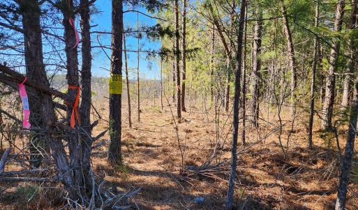 Photo #10 of Off Virginia Mill Rd, Arvonia, VA 58.8 acres