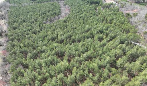 Photo #11 of Off Virginia Mill Rd, Arvonia, VA 58.8 acres